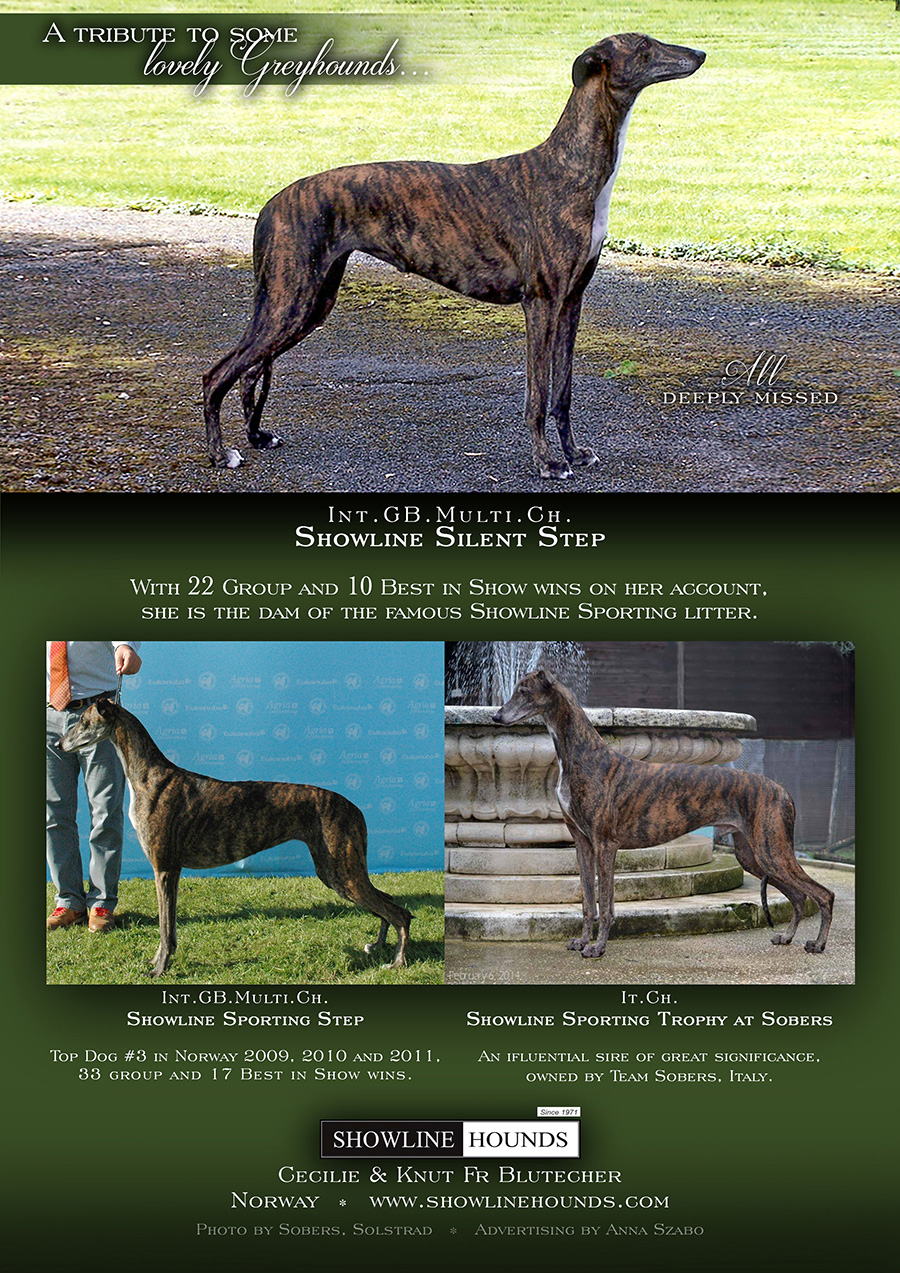 Greyhound Handbook ad 2014 2016