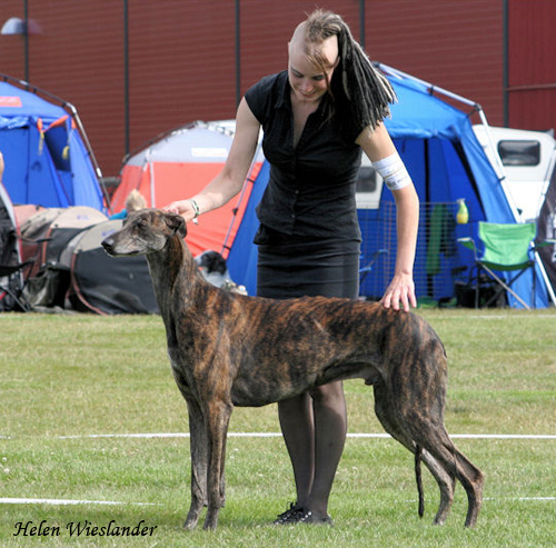 2011 06 18 sporting lad