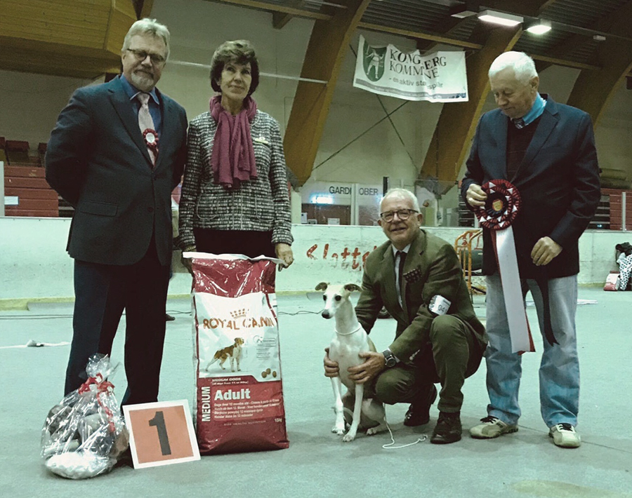 Ch Showline Scanorama BIS Kongsberg 2017